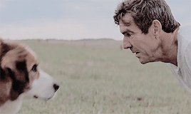 今年最奇葩的恐怖片，男主竟是一条狗！封面图