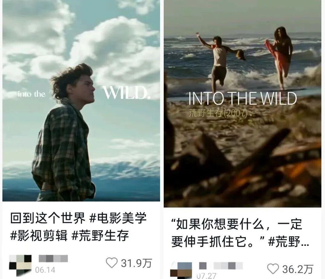 百万人围观的国产荒野求生，出圈全靠选手“求生不能”封面图