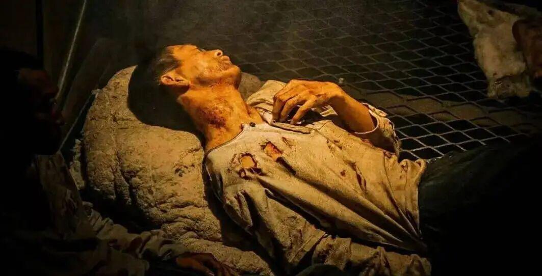 《731》全球上映，现象级排片占比99.7%：举报它的人，终未能如愿封面图