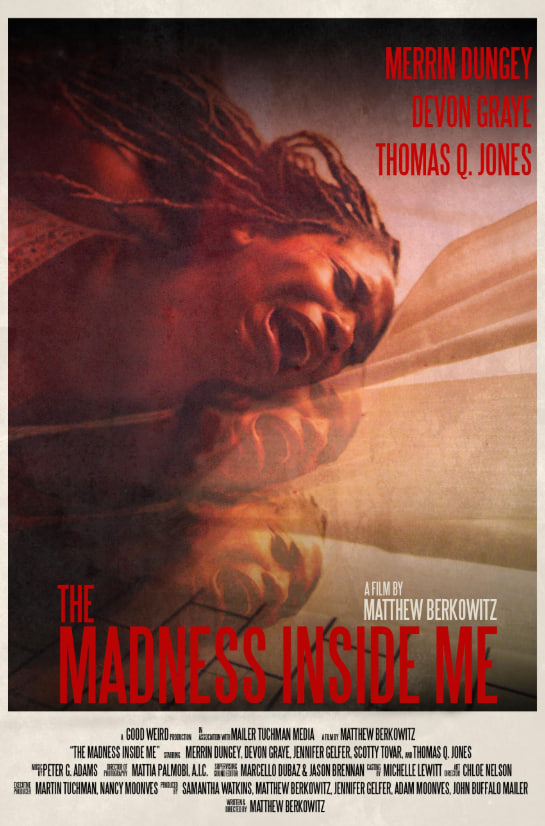 我内心的疯狂封面图