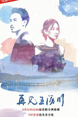 再见王沥川封面图