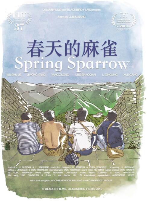 春天的麻雀封面图