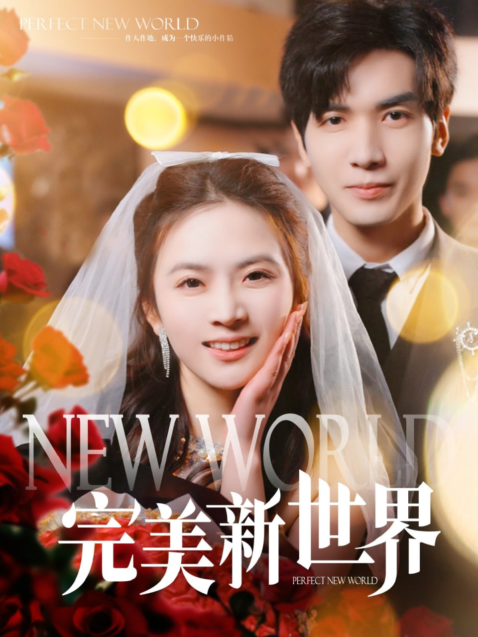 完美新世界封面图