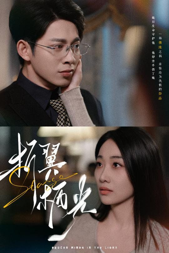 折翼栖光封面图