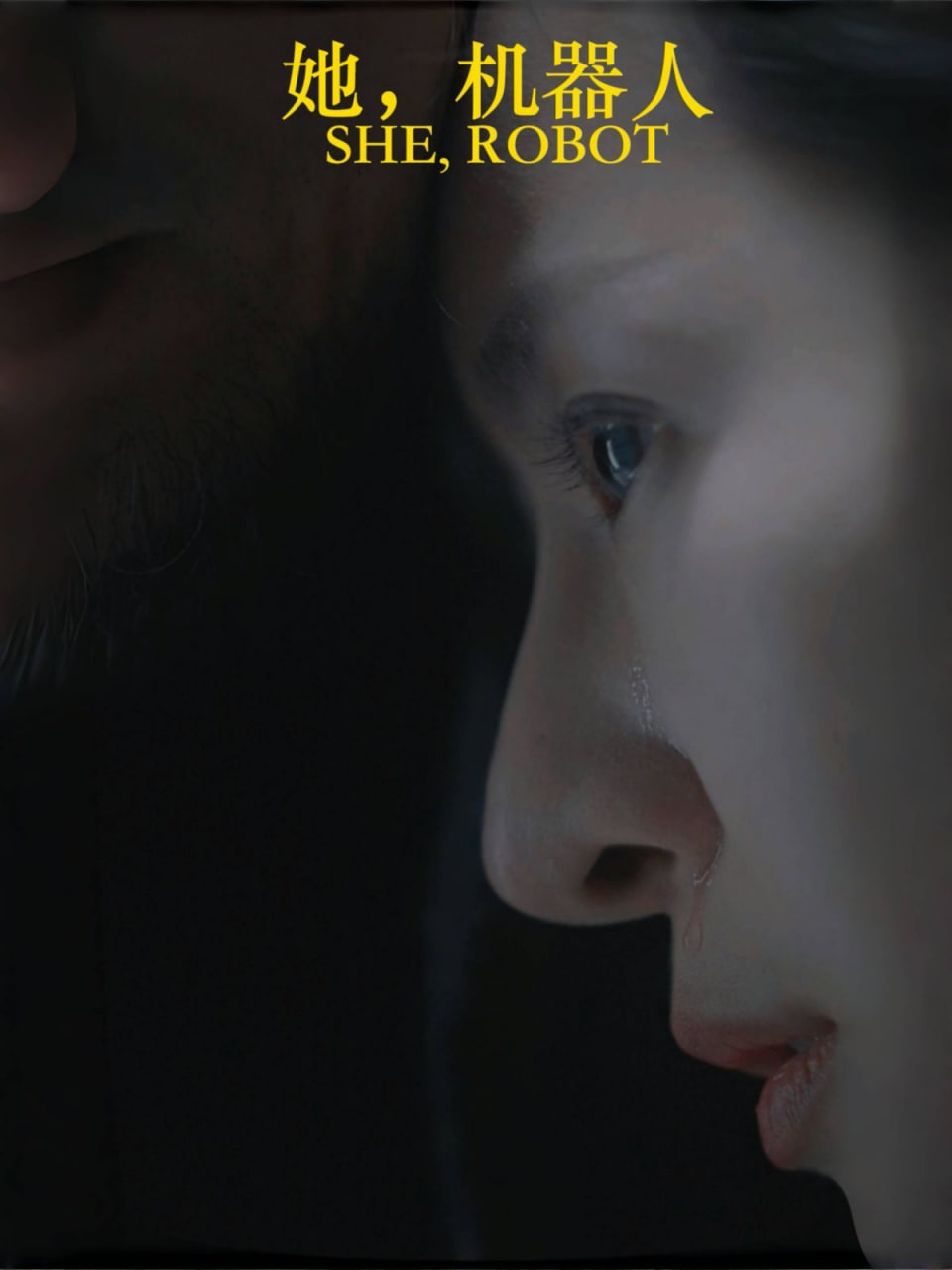 她，机器人封面图