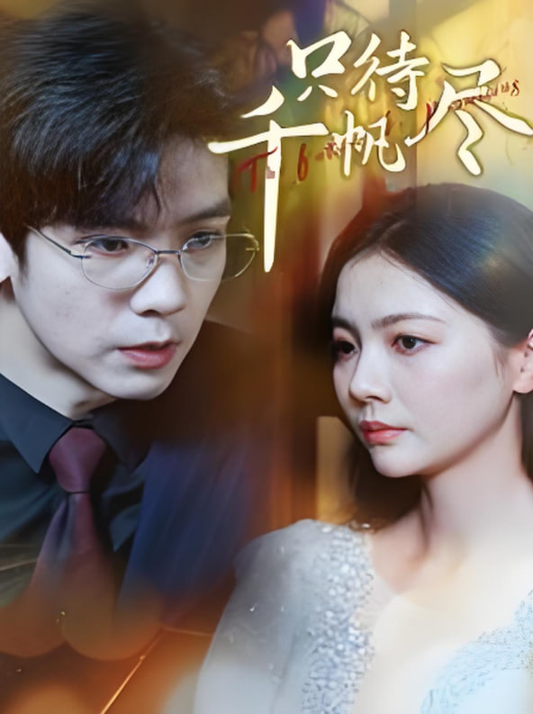 只待千帆尽封面图