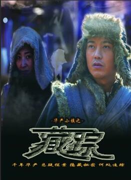 华严小镇2之藏踪封面图