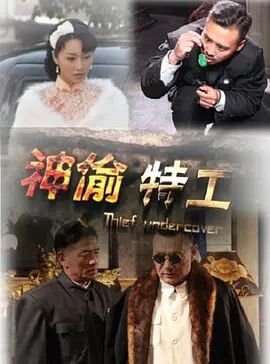 神偷特工封面图