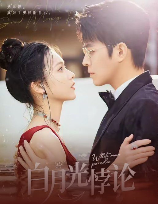 白月光悖论封面图