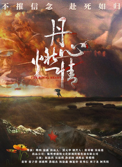 丹心燃情封面图