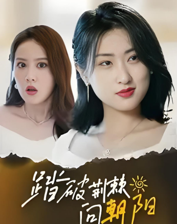 踏破荆棘向朝阳封面图