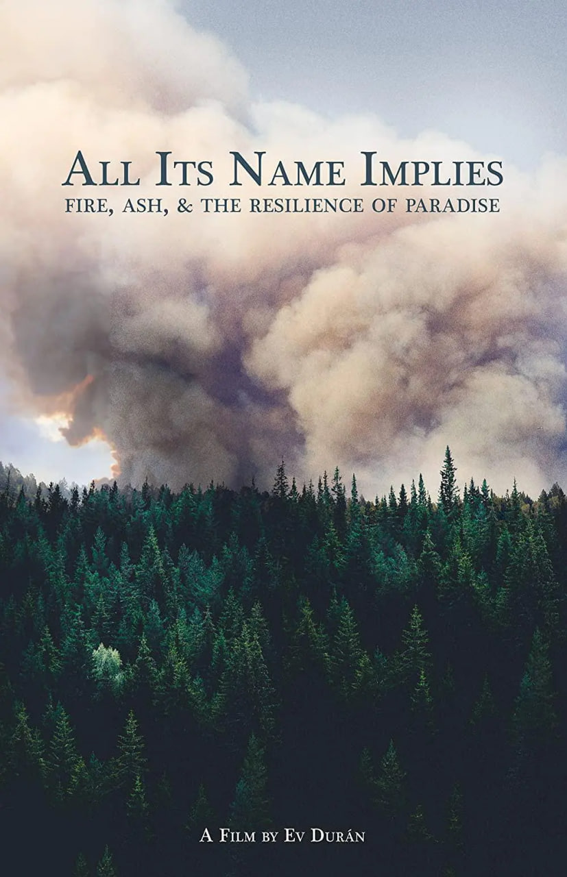 保卫天堂封面图