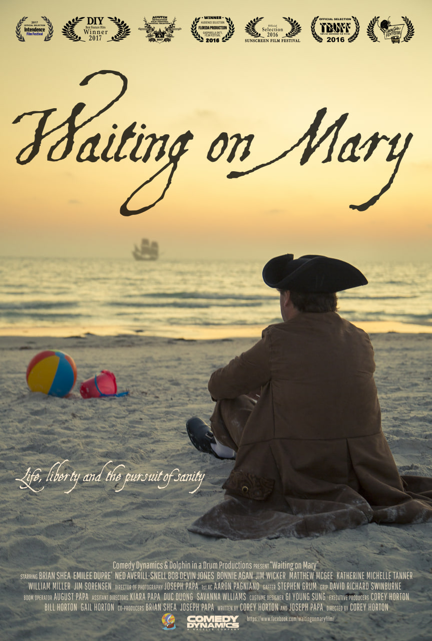 等待玛丽封面图