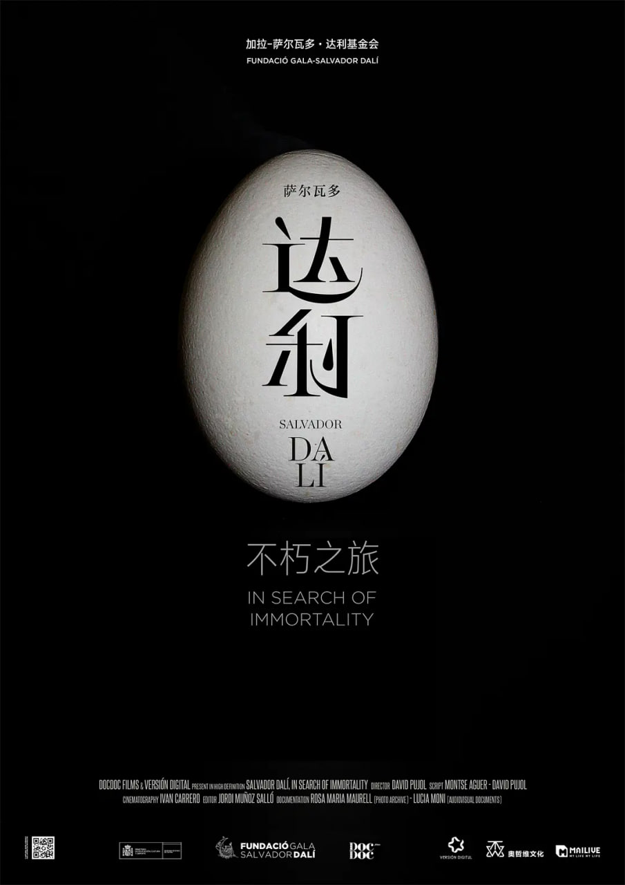 达利：不朽之旅封面图