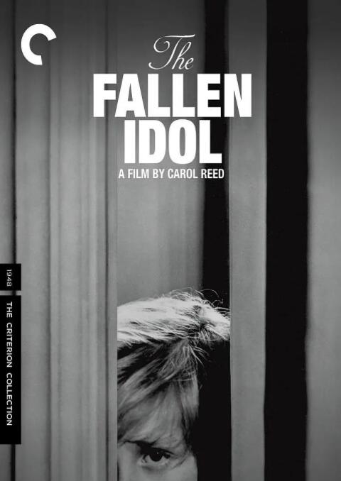 堕落的偶像封面图