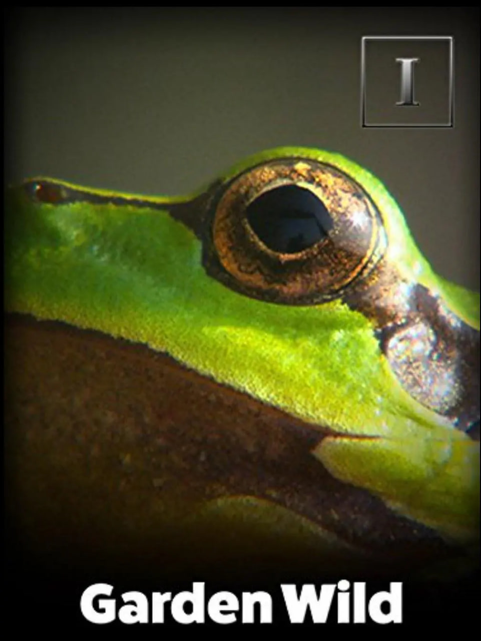 野性花园封面图