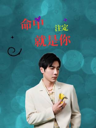 命中注定就是你封面图