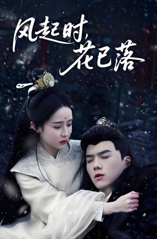 风起时，花已落封面图