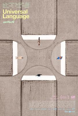 共同的语言封面图