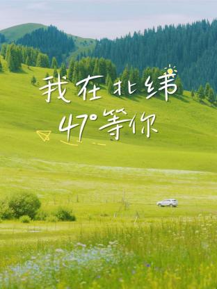 我在北纬47°等你封面图