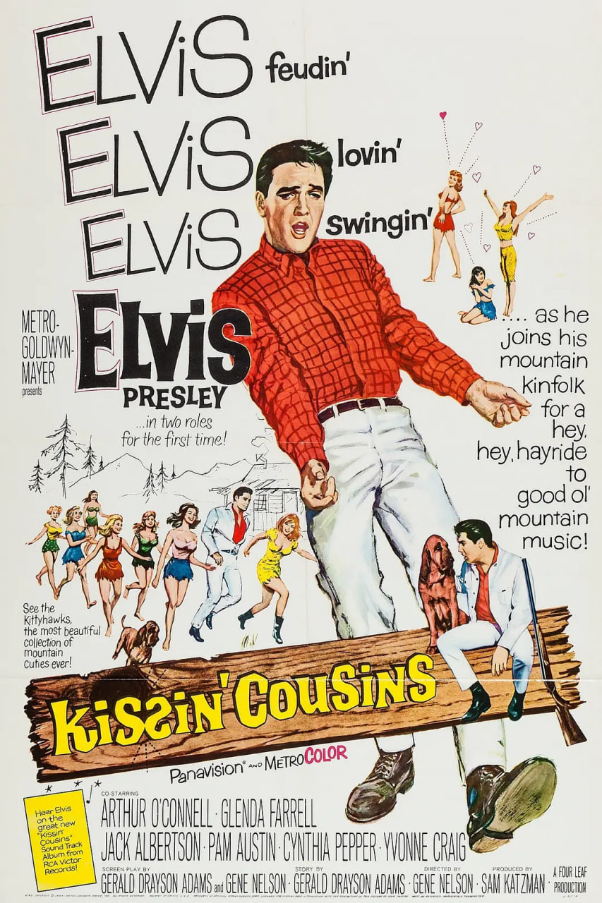 绿野嬉春封面图