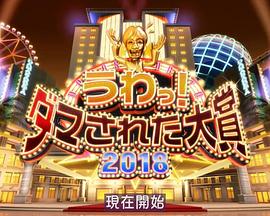 整人大赏 2018年末SP 3个半小时封面图