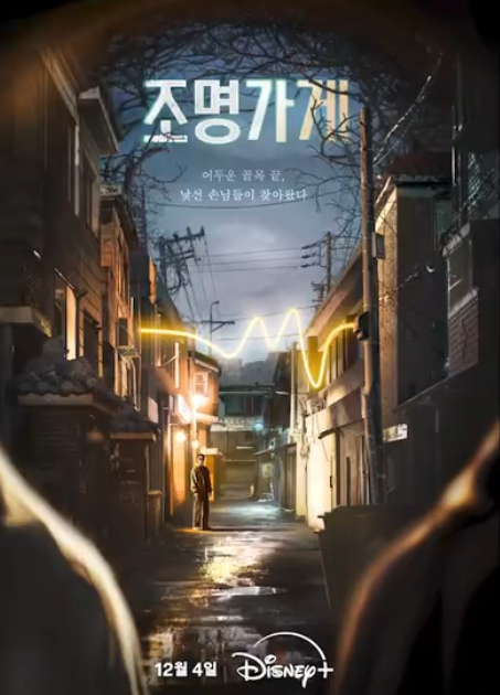 罗英锡的吵吵闹闹照明商店封面图