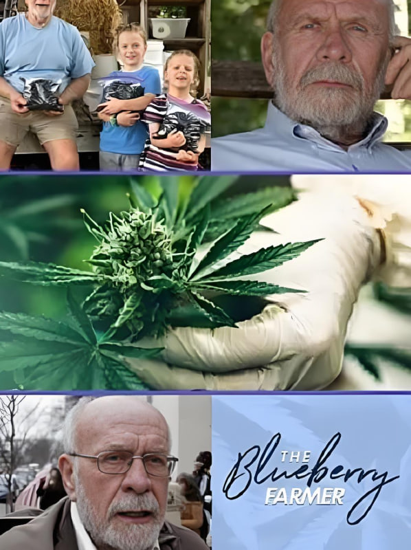 蓝莓农夫封面图