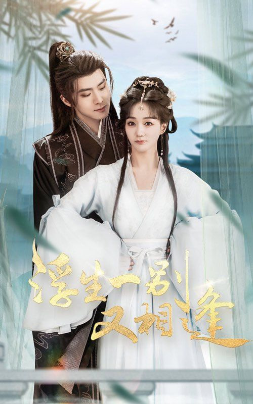 浮生一别又相逢封面图