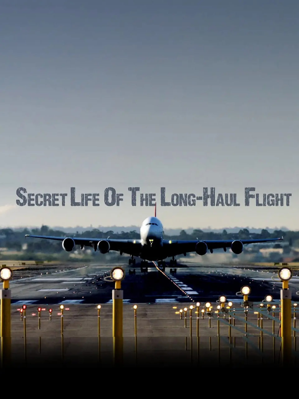 长途航班的秘密生活封面图