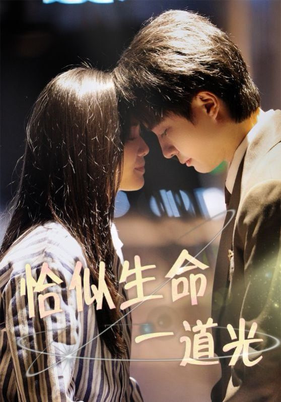 恰似生命一道光封面图