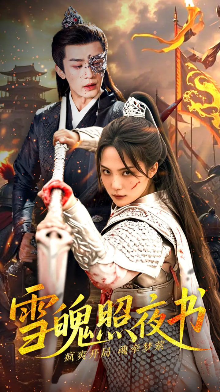 雪魄照夜书封面图