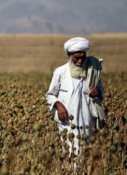 鸦片之初封面图