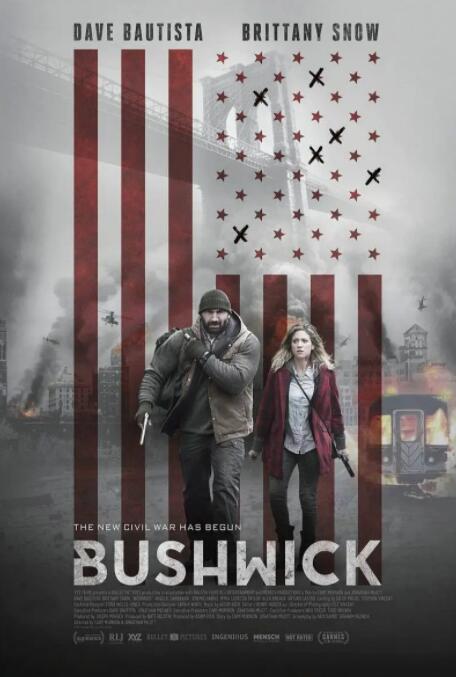 布希维克封面图