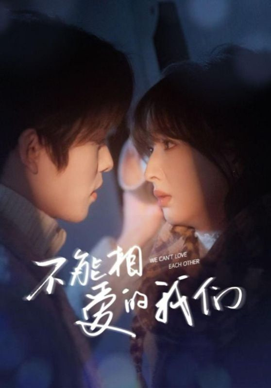 不能相爱的我们封面图