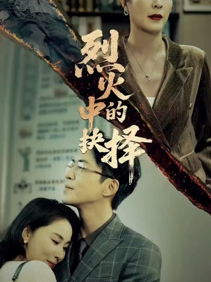 烈火中的抉择封面图