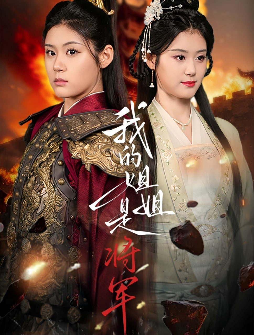 我的姐姐是将军封面图