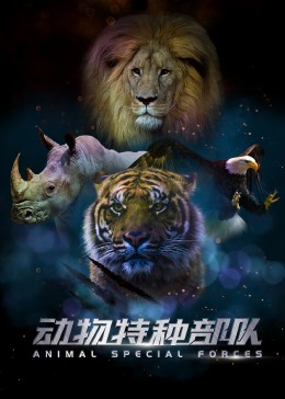 动物特种部队 第二季封面图