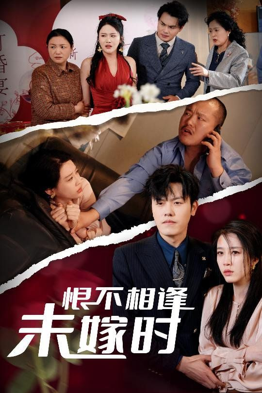 恨不相逢未嫁时封面图