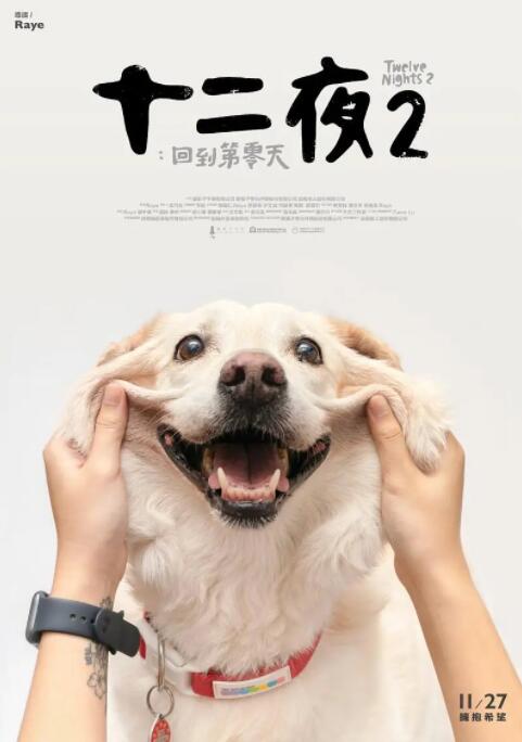 十二夜2：回到第零天封面图
