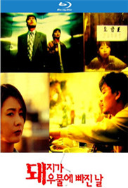 猪堕井的那天封面图