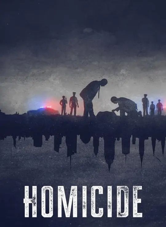 凶杀重案实录：纽约 第二季封面图