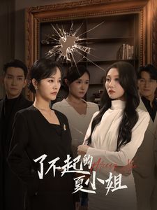 了不起的夏小姐封面图