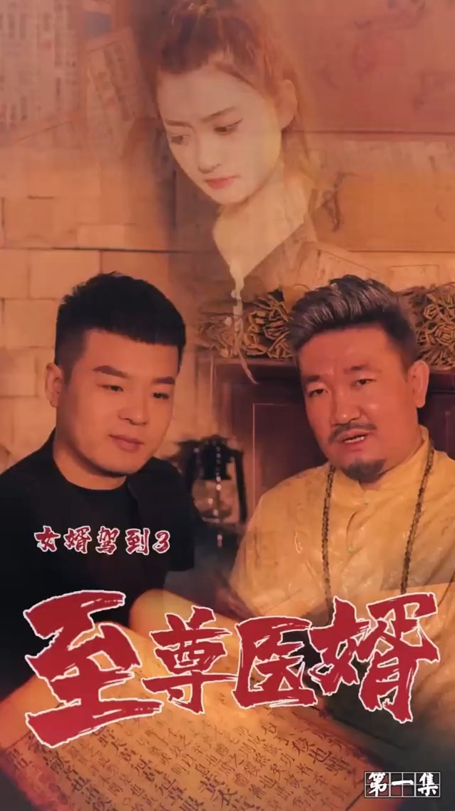 女婿驾到3封面图