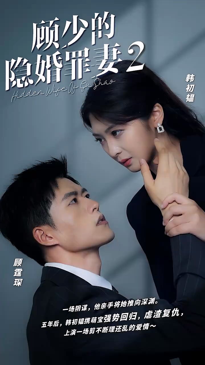 顾少的隐婚罪妻2封面图