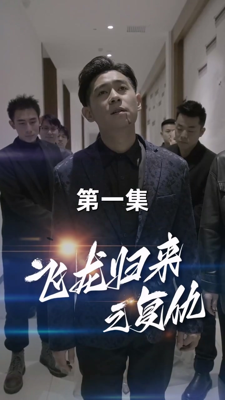 飞龙归来封面图