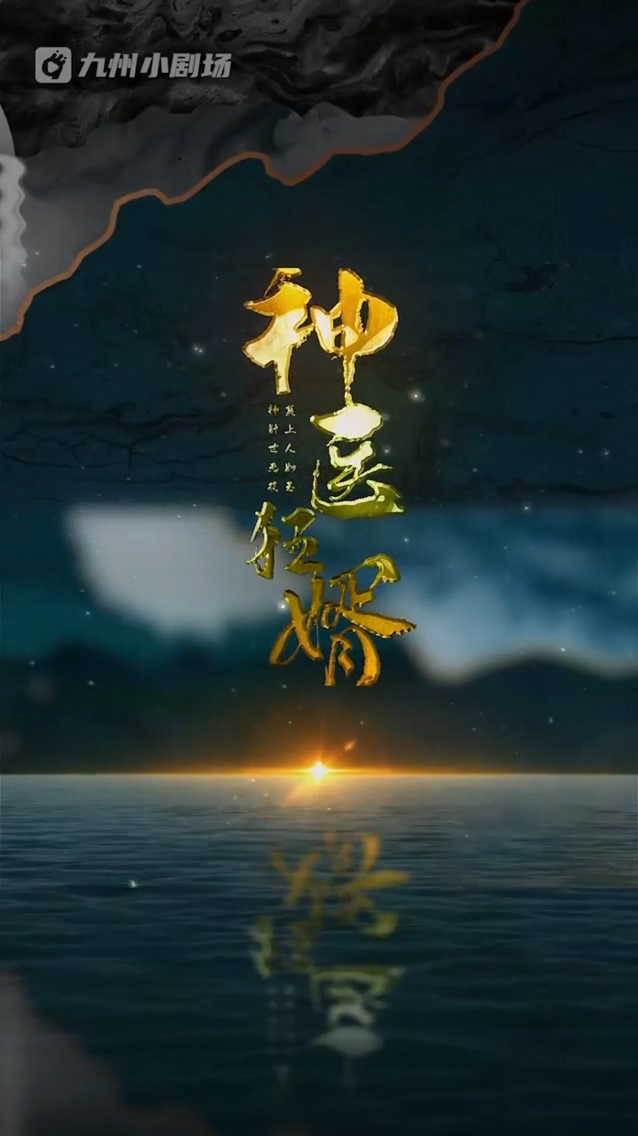 神医狂婿封面图