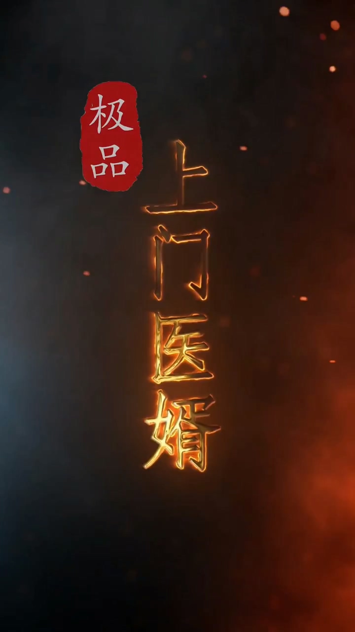 极品上门医婿封面图