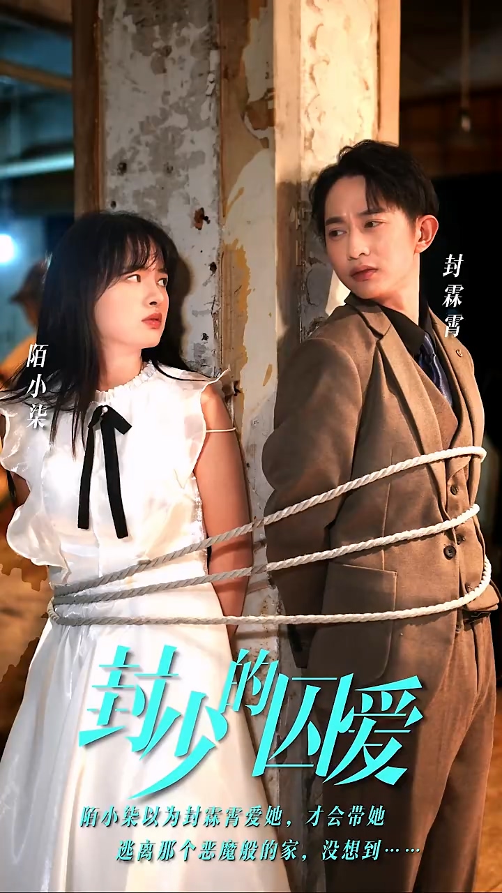 封少的囚爱封面图