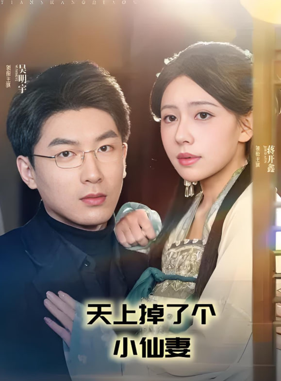 天上掉了个小仙妻封面图